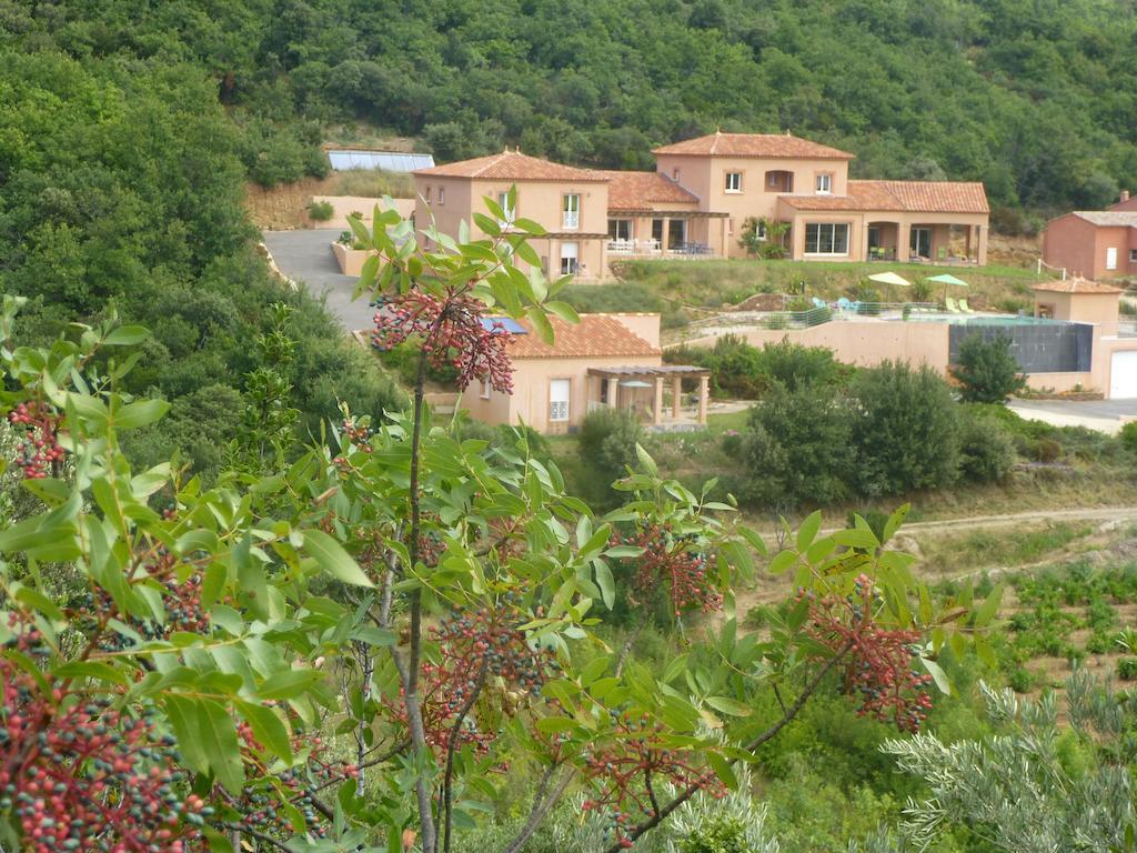 Domaine De Flo Adult A Partir De 16 Ans Bed and Breakfast Saint-Jean-de-la-Blaquiere Eksteriør billede